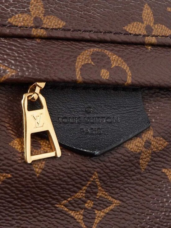 Louis Vuitton Monogram Canvas Palm Springs PM Backpack Bag main image 8